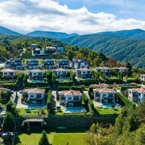 Villas with Sapanca lake view in magnificent nature 2